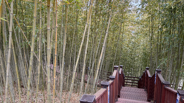 삼척이사부사자공원