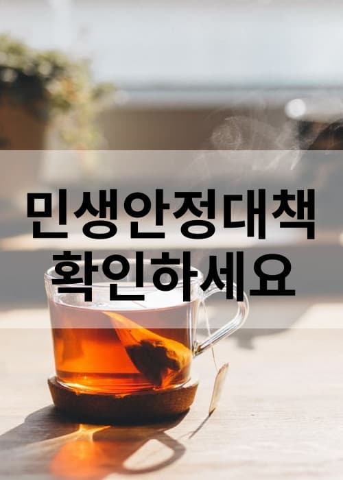 24정부민생안정대책