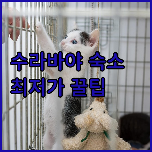 수라바야 숙소 고민 끝 최저가 보장 ..