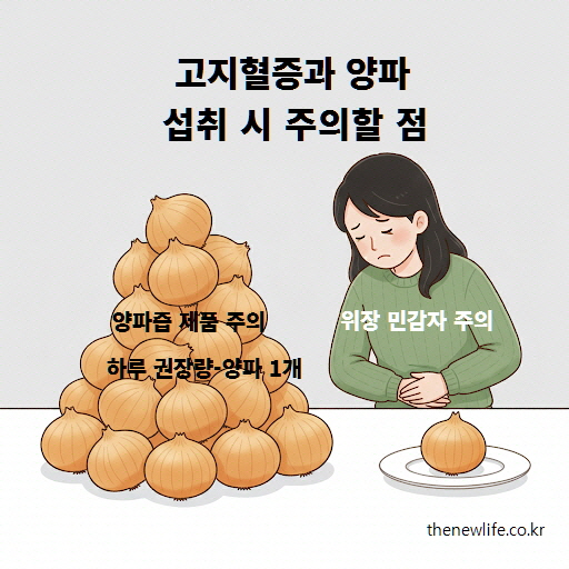 양파 섭취 시 주의할 점, 위장 민감자·양파즙 제품 주의 및 하루 권장량을 지켜 고지혈증 관리에 도움을 주는 방법