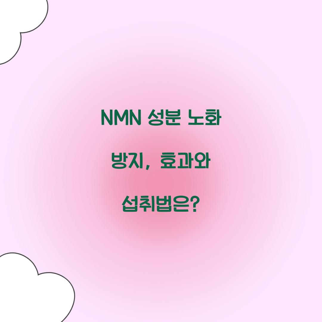 NMN 성분 노화 방지
