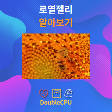 로열젤리 알아보기