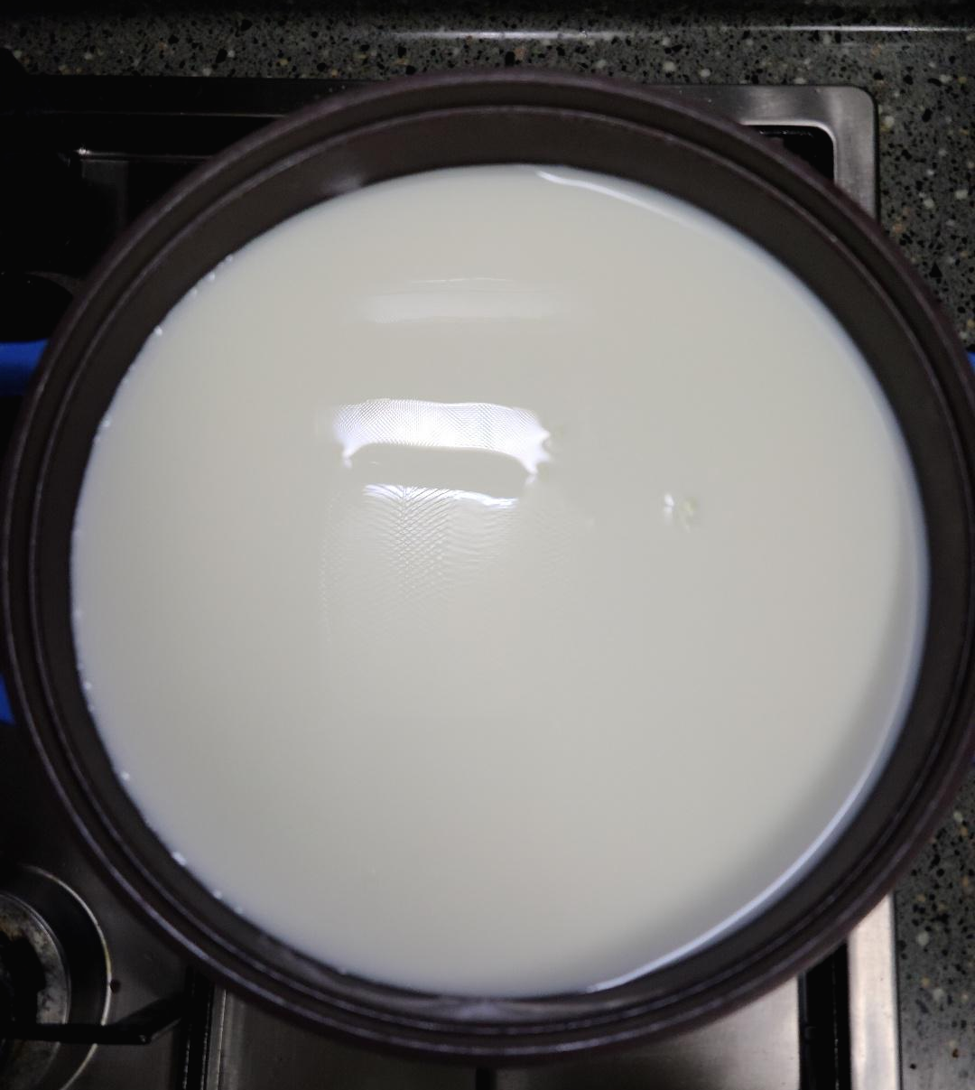 유청으로 리코타치즈