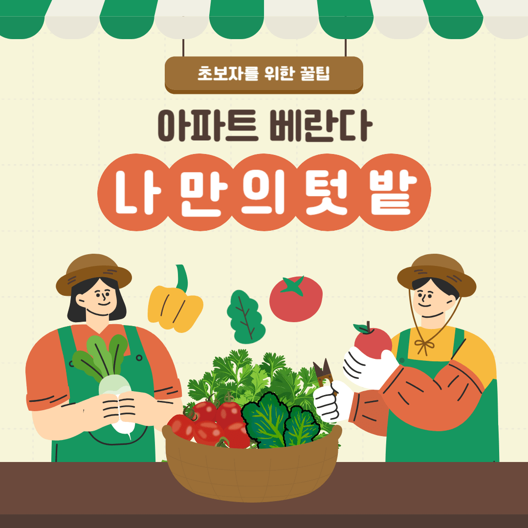 베란다 텃밭 키우기 쉬운채소8가지