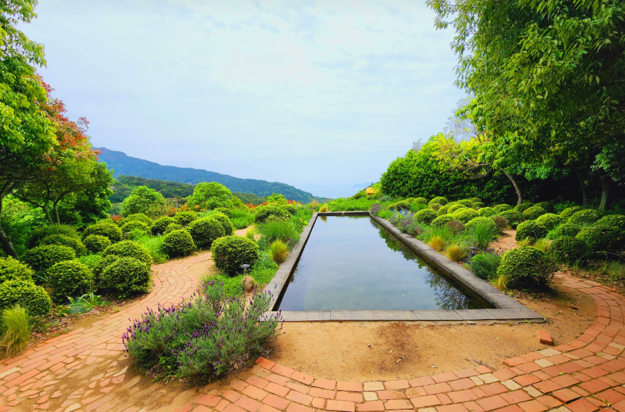 남해 섬이정원 다양한 봄꽃