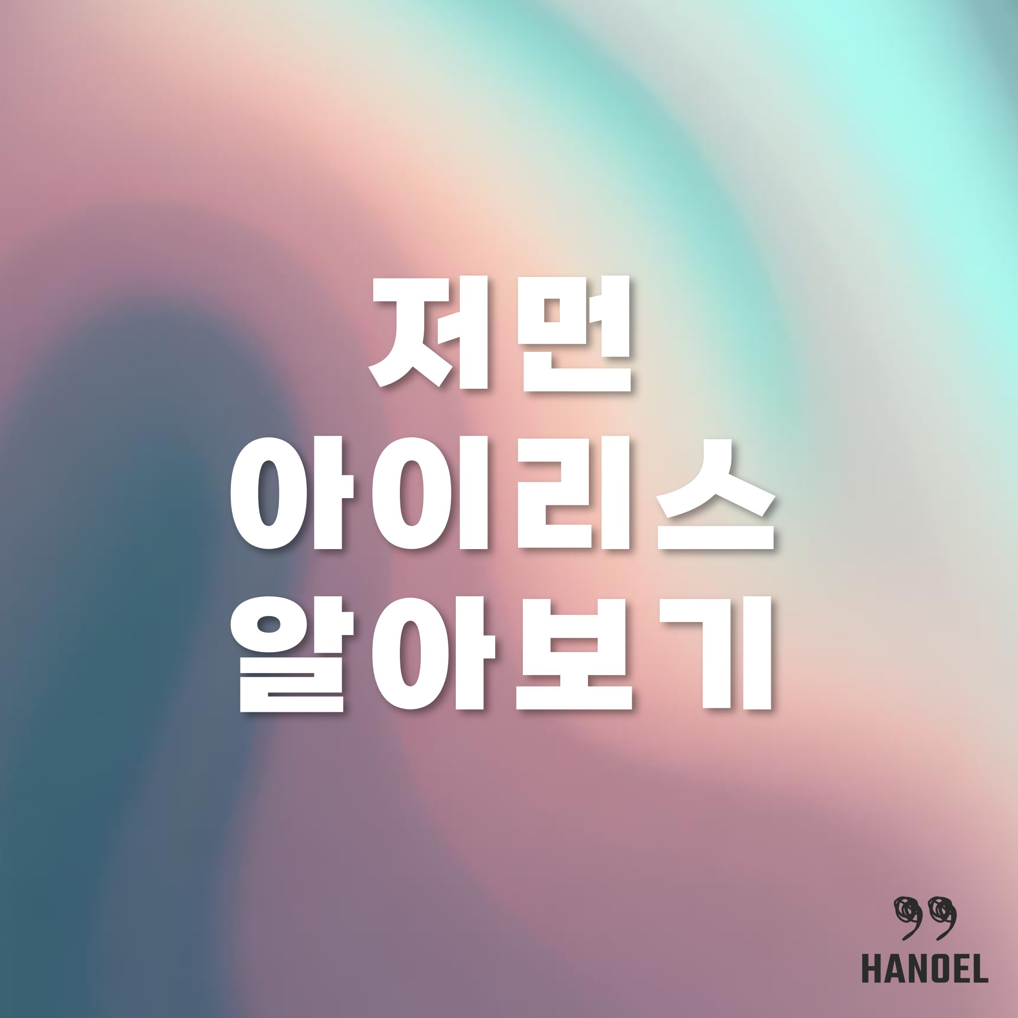 저먼아이리스 알아보기 키우기 꽃말 등
