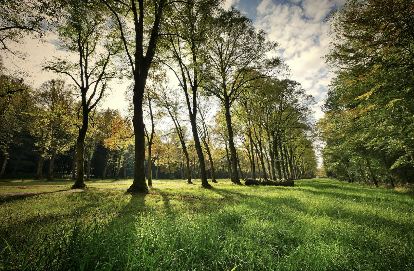 일상 걷기 명상