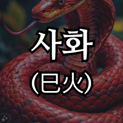 사화(巳火) 지지