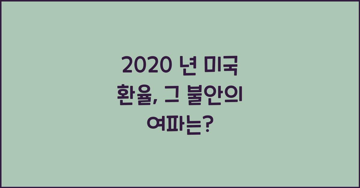 2020 년 미국 환율