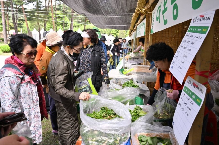 양평 산나물 축제-나물 직거래