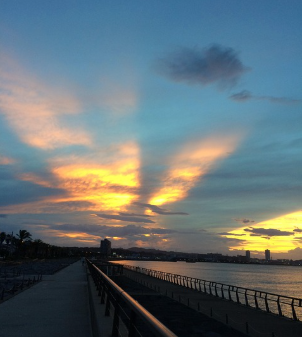 1호 태풍 우딥 이동경로 국내영향