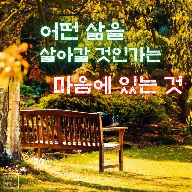 공원 나무 그늘 아래 벤치와 좋은글 이미지, 어떤 삶을 살아갈 것인가는 마음에 있다는 인생 명언