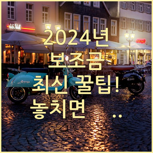 2024년 전기차 보조금 국비 및 지..