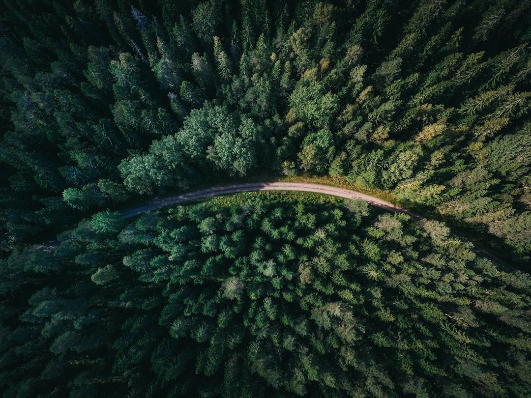 화담숲 예약 인원: 2025년 봄 최고의 방문 가이드 관련 이미지 2