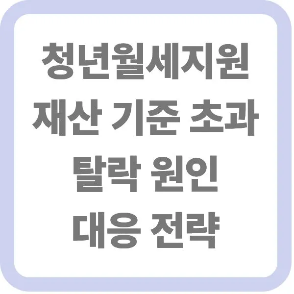 청년월세지원 재산 기준 초과 탈락 원인 및 대응 전략 텍스트가 적힌 대표 썸네일 이미지