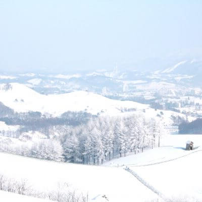 국내 겨울 여행지 추천 평창 양떼목장 여행