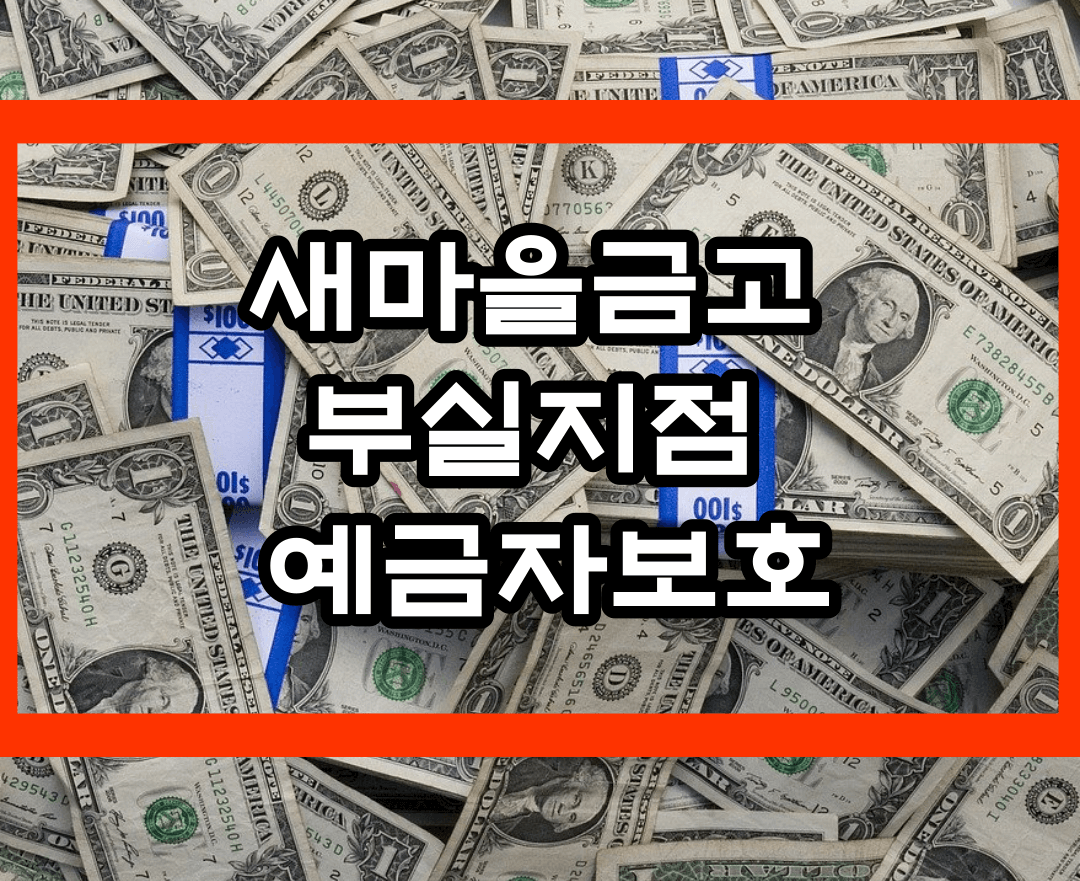 새마을금고 부실지점 예금자보호