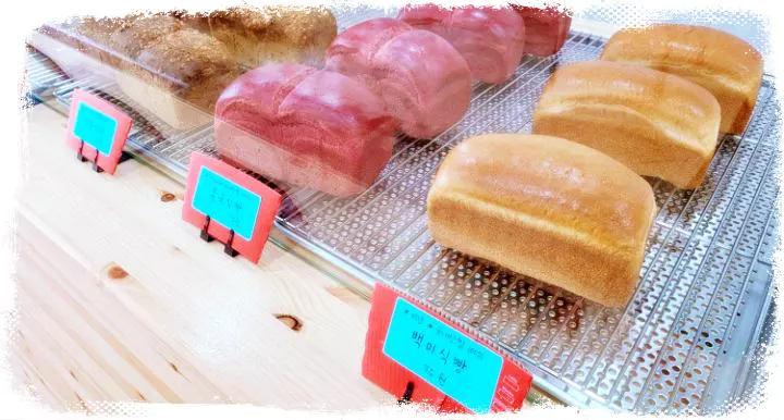 SBS-은둔식달-생활의달인-비건-빵-달인-맛집
