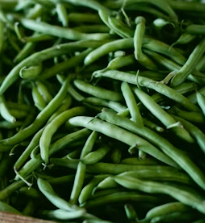 알부민 많은 음식