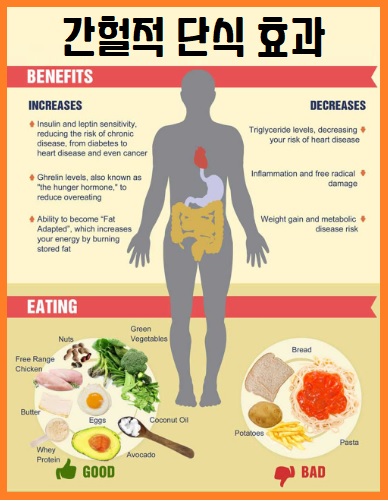 간헐적 단식 효과