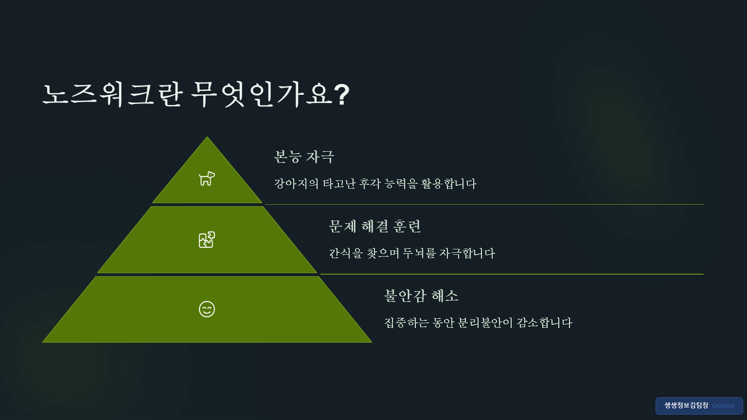 분리불안 강아지 장난감 추천
