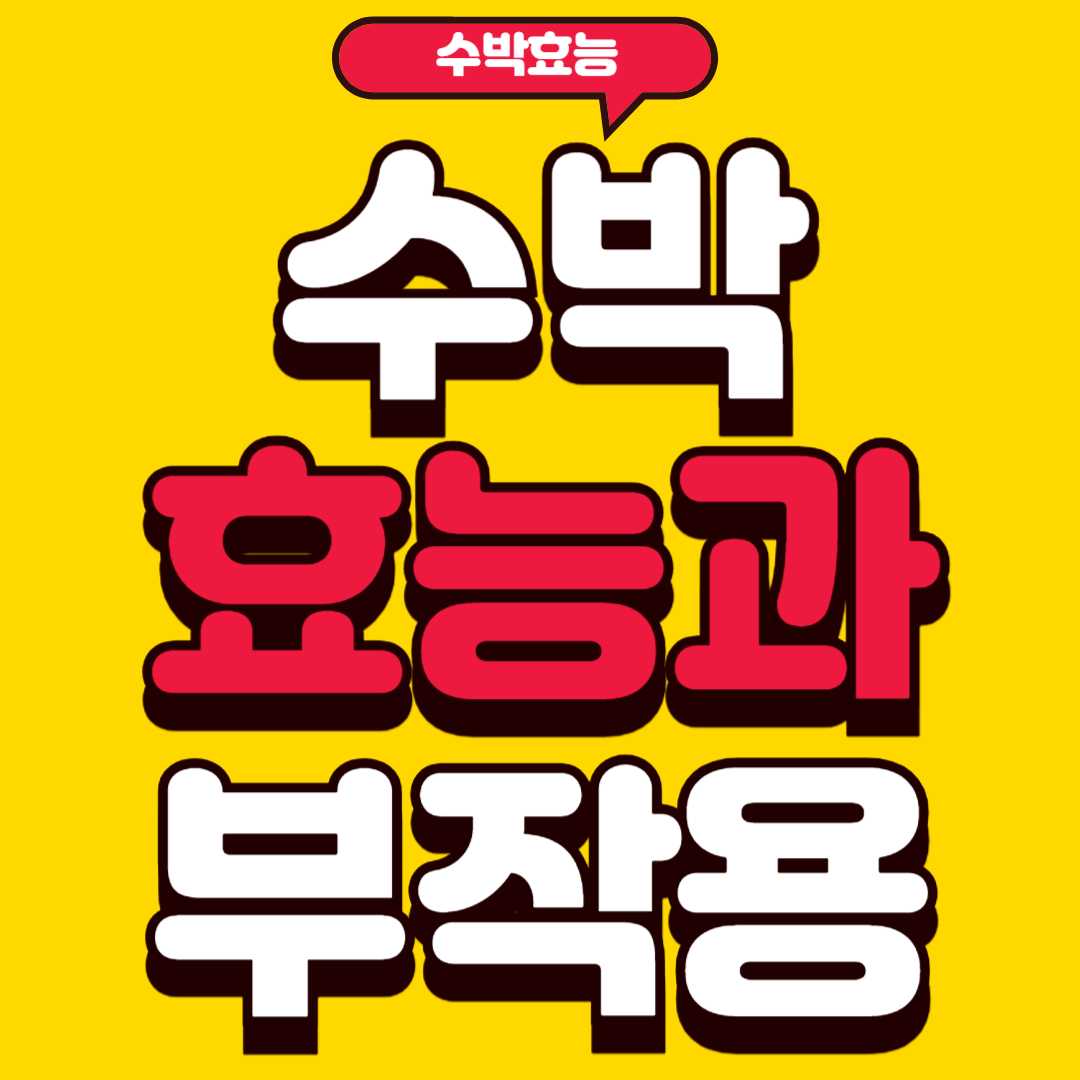 수박효능