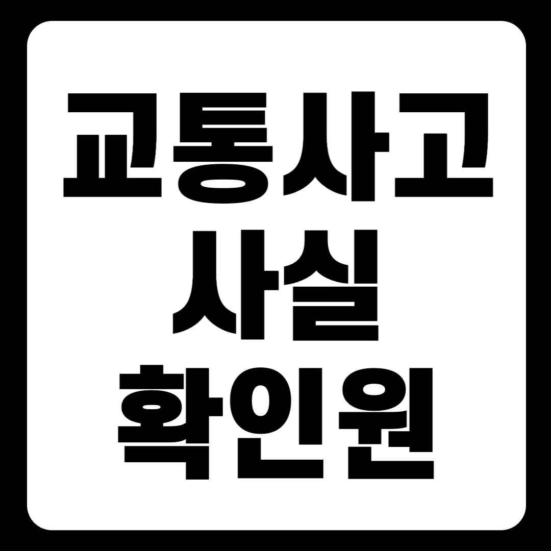 교통사고사실확인원 효력 발급기간 및 발급방법 : 정부24(+2024)