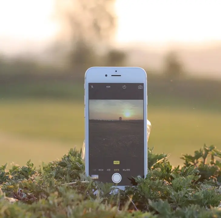 Google Lens로 사진 속 텍스트를 인식해 추출하는 모습