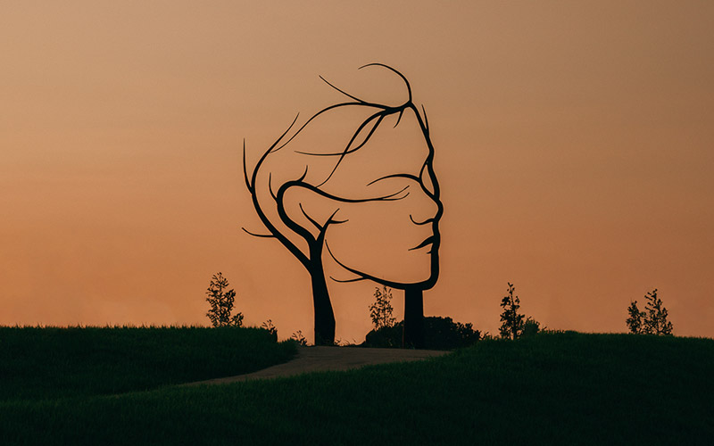 파주 임진각에 평화누리캠핑장