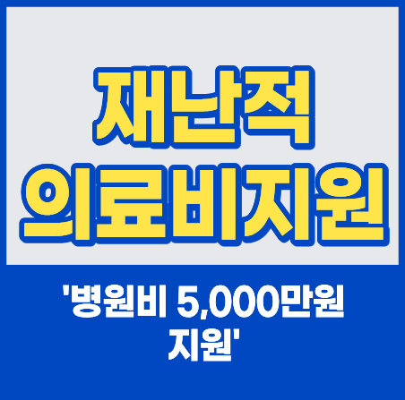 재난적의료비지원