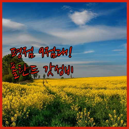 평점 9점대 실화일까 직접 가본 사람..