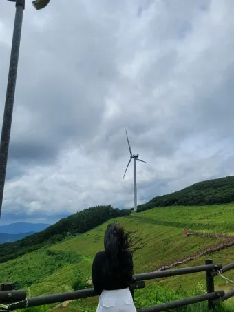 평창 가볼만한곳 베스트10 대관령 양떼목장 허브나라 드라이브_5