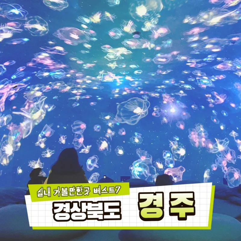 경주 실내 가볼만한곳 베스트 10을 정리_2