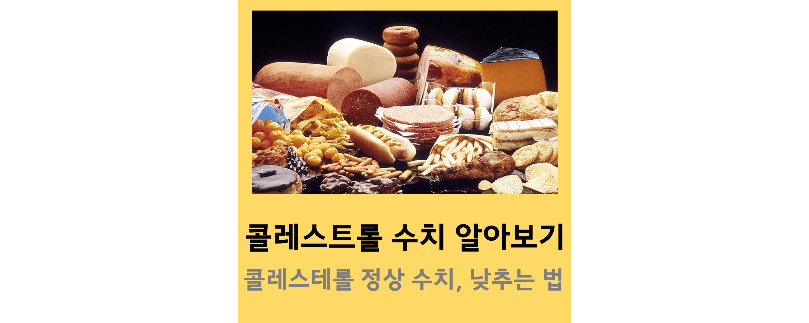 콜레스테롤