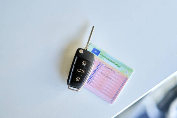 운전면허 적성검사 기간조회