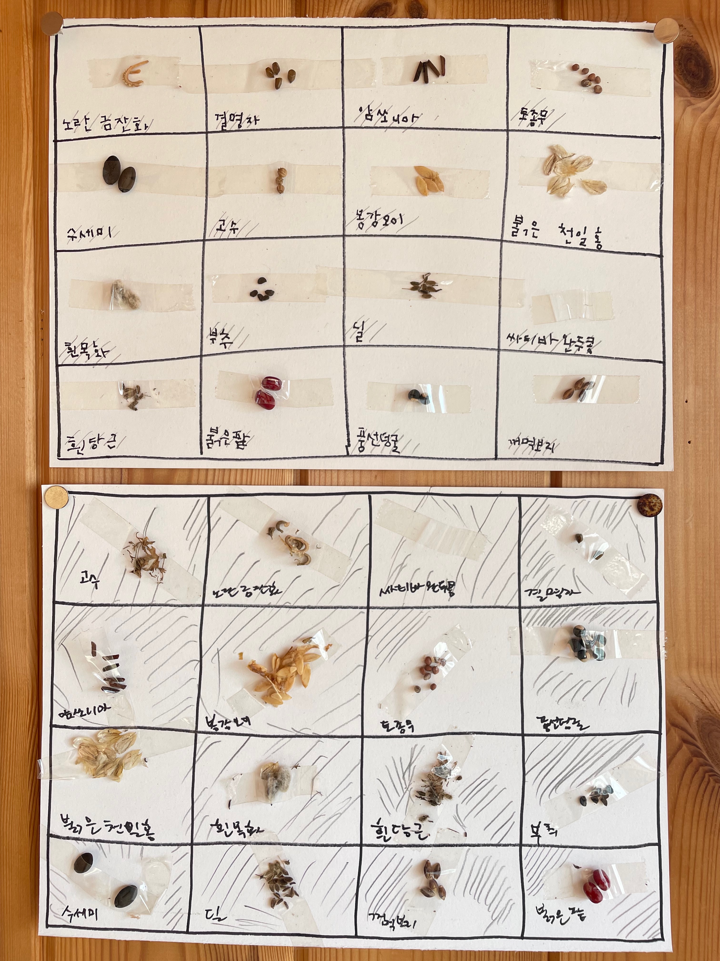 20231211 텃밭수업에서 만든 씨앗 빙고판