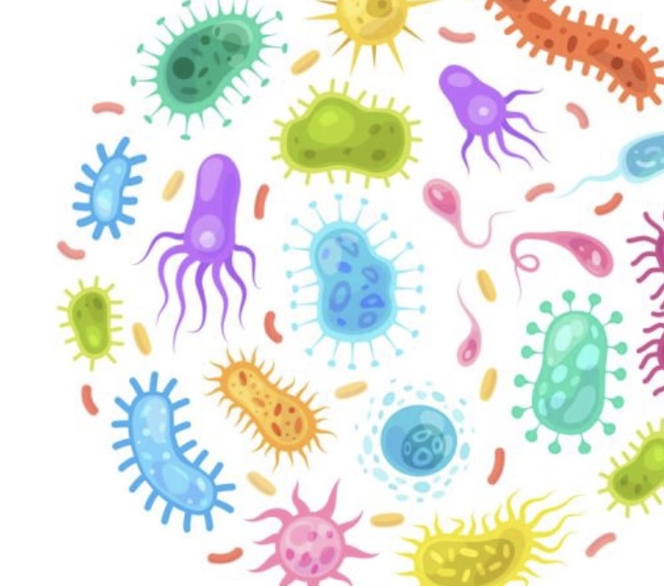 구각염: 원인, 증상, 치료 및 예방