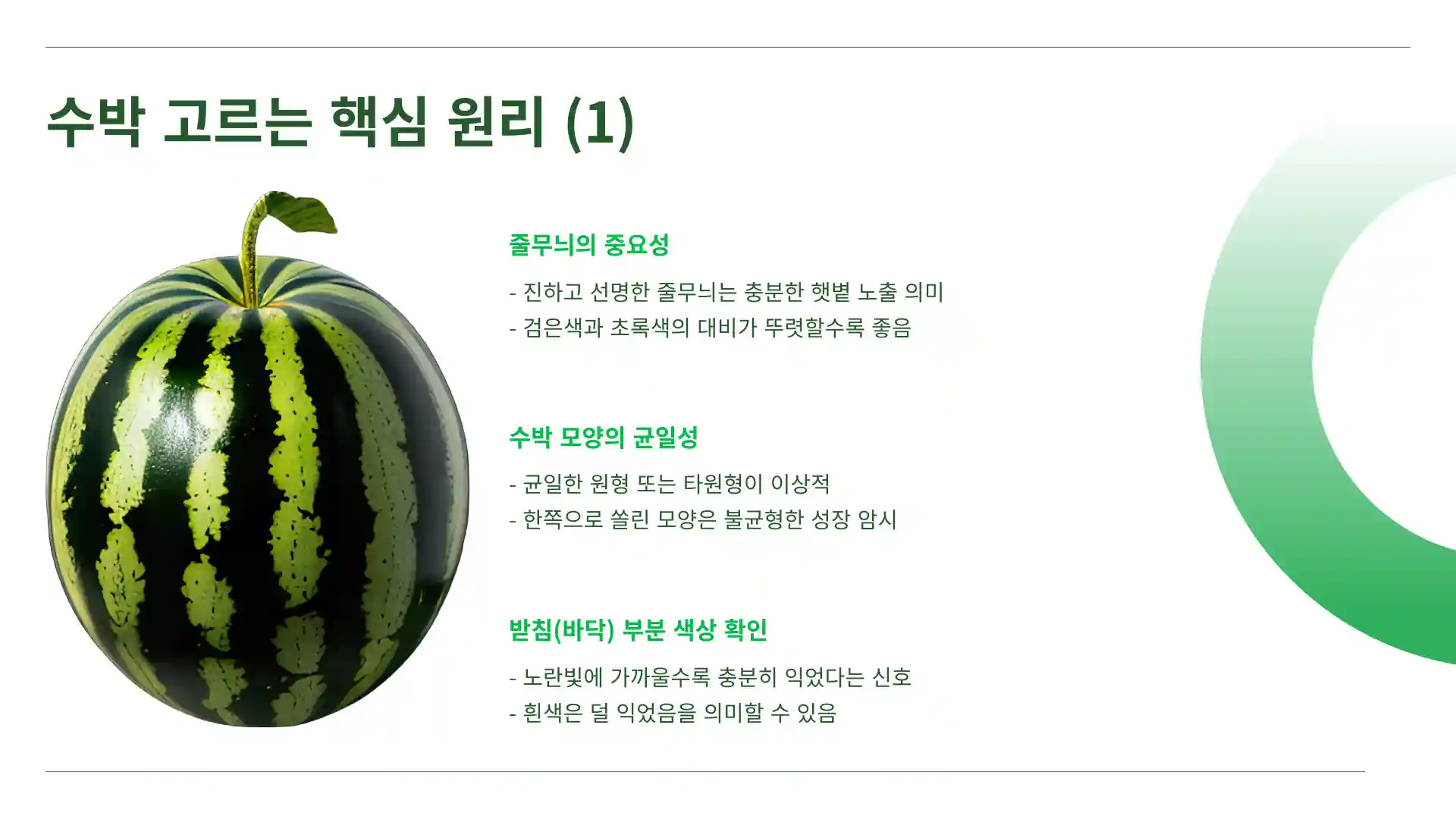 수박 고르는 방법