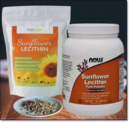 해바라기레시틴 보충제