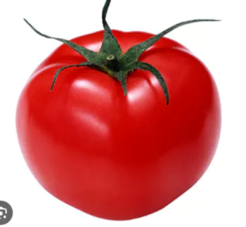 토마토-사진1