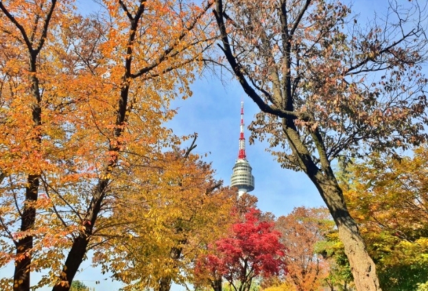 서울-단풍-명소