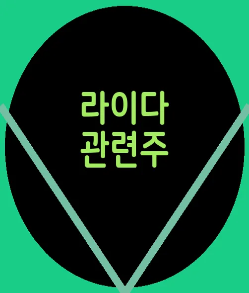라이다 관련주