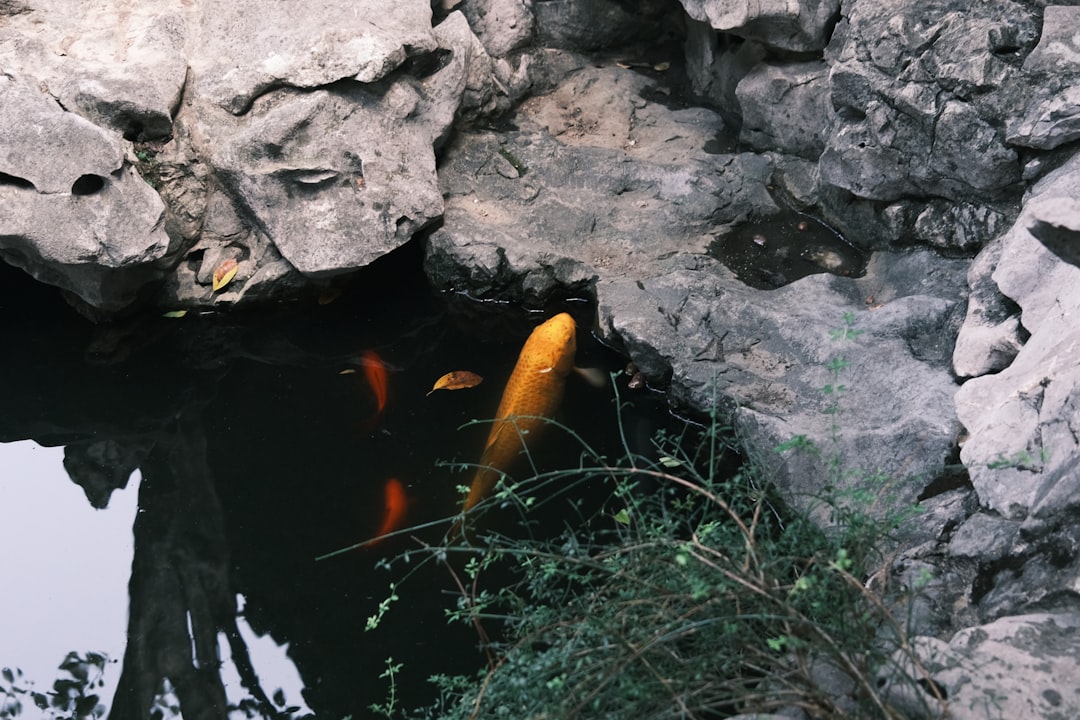 sinkhole