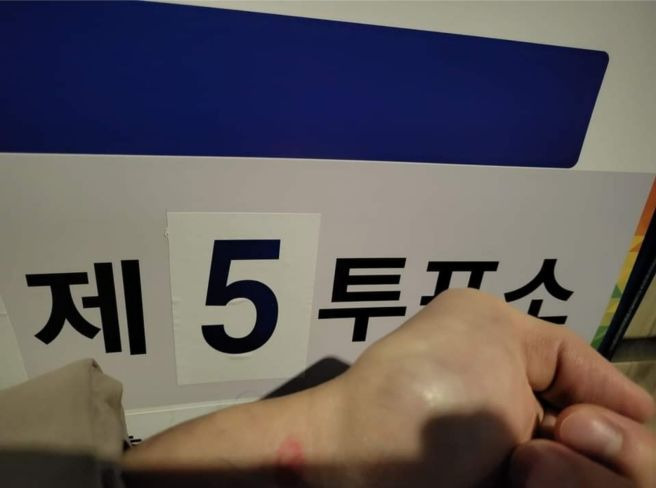 대통령 선거 본투표 장소 찾기