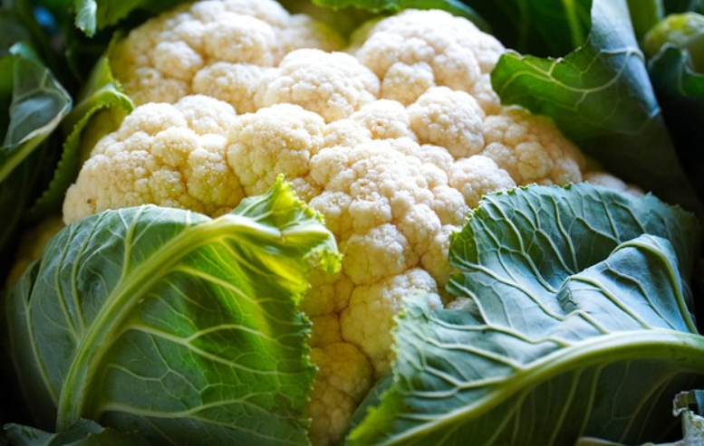 신장에 좋은 음식