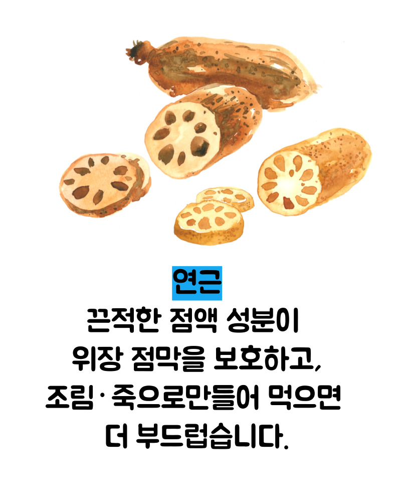 소화 잘되는 음식