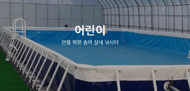 평창 송어축제