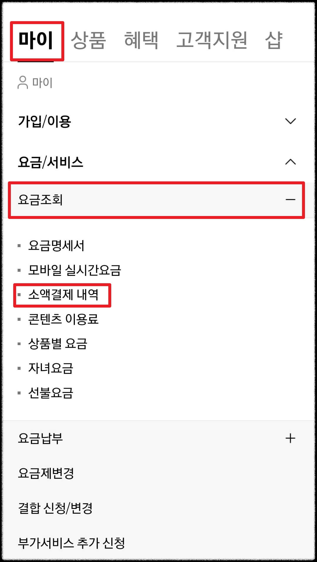 소액결제 내역