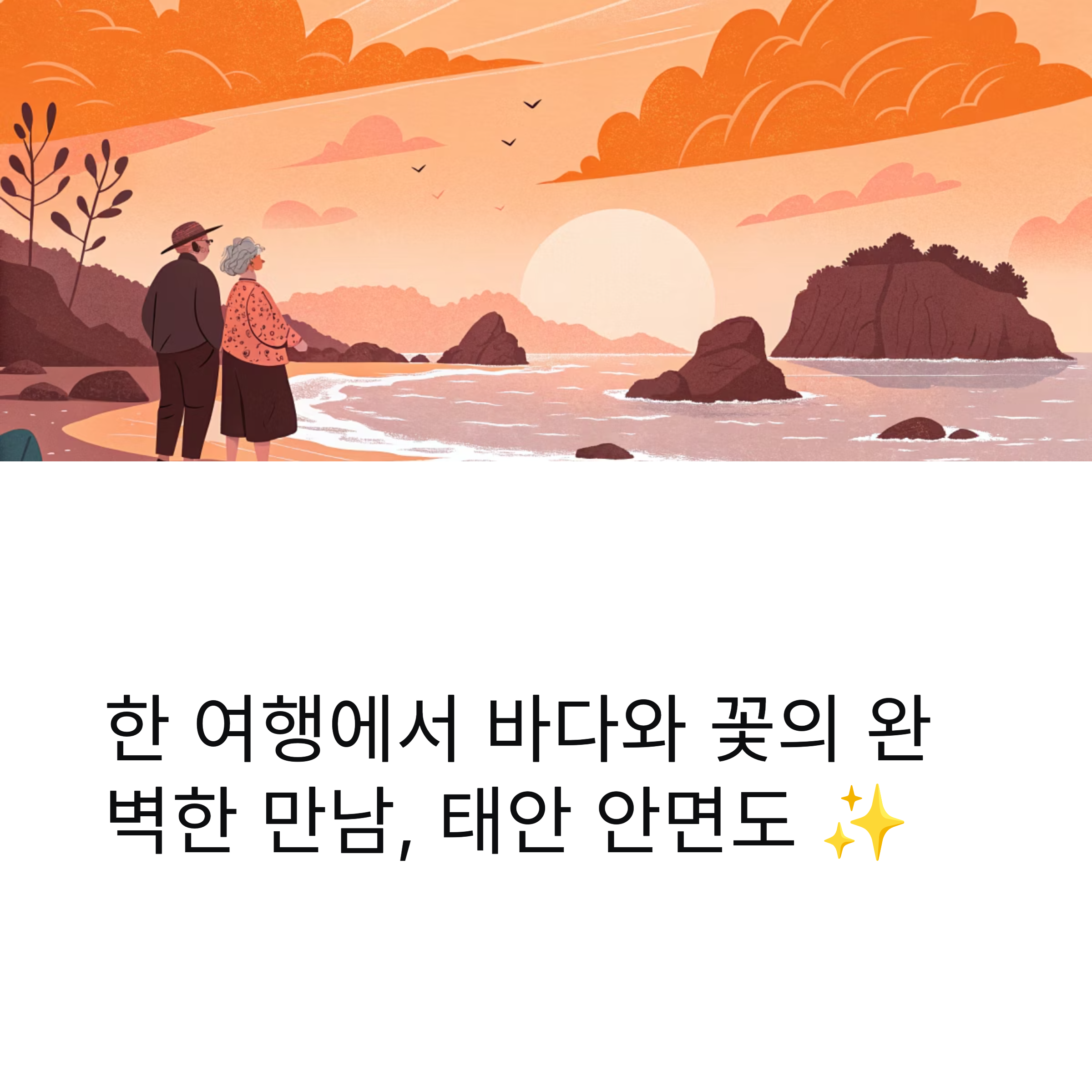 태안 안면도 꽃지해변과 팜파스 체험장에서 즐기는 바다와 꽃의 조화