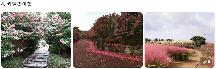 렌터카보다 효율적인 제주 관광택시, 중형·대형 제주택시투어 비교! 1일 코스별 예산 가이드